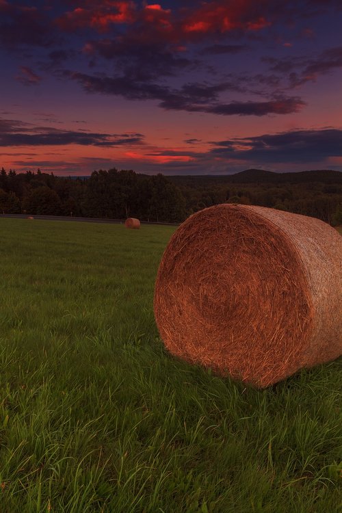 sunset  forest  abendstimmung