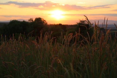 sunset  solar  landscape