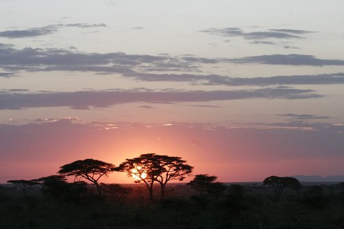 sunset  africa  tan
