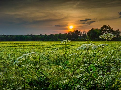 sunset  snapshot  landscape