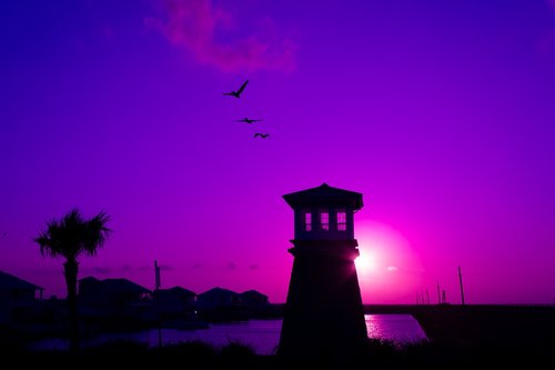 sunset  pelicans  gate tower