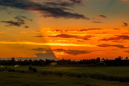 sunset  golf course  summer