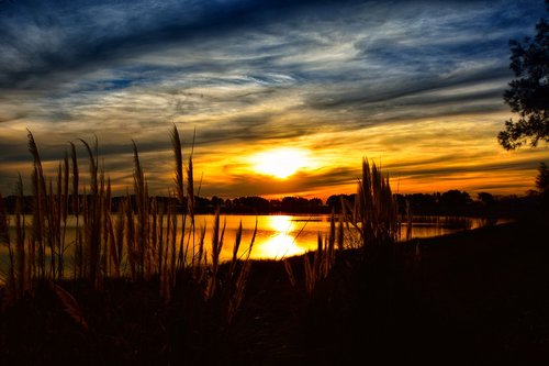 sunset  sun  landscape