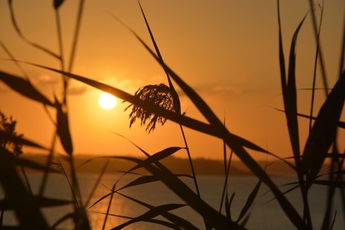 sunset  sea  coast