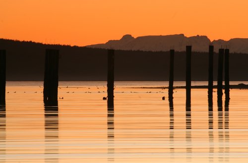 sunset  nature  landscape