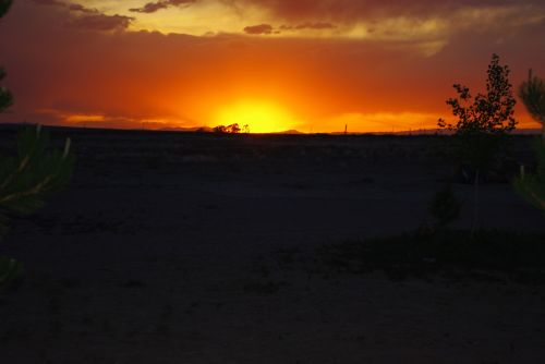 sunset golden sunset landscape