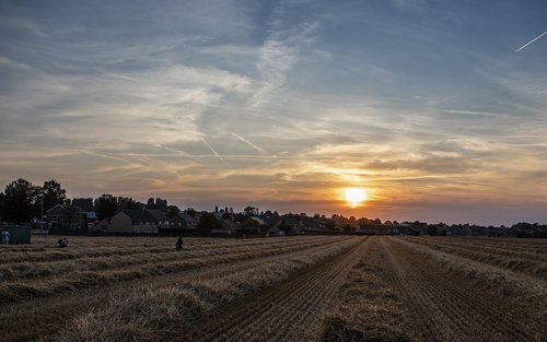 sunset  evening  sky