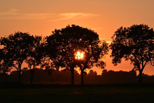 sunset  rheiderland include a  nature