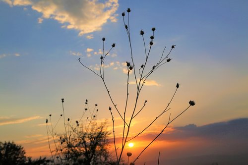 sunset  in the evening  sky