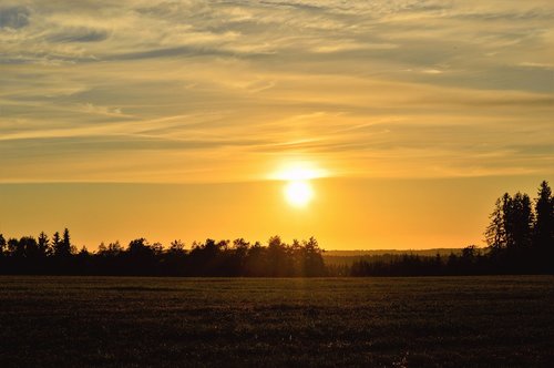 sunset  sweden  field