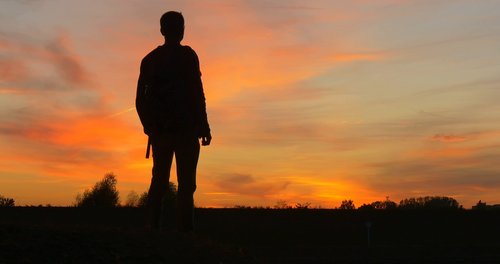 sunset  dawn  silhouette