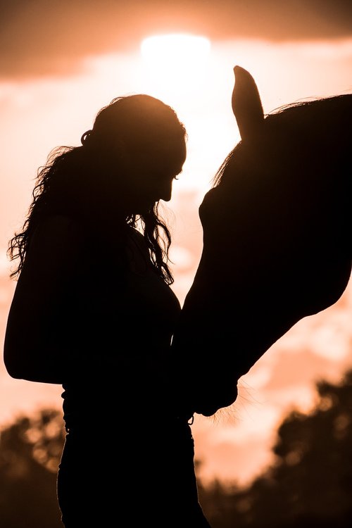 sunset  silhouette  afterglow