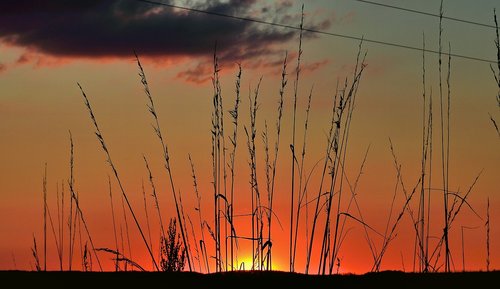 sunset  meadow  landscape