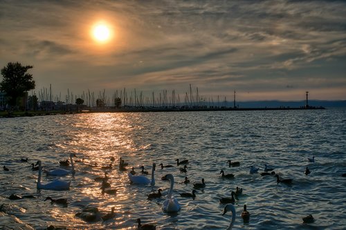 sunset  lake  port