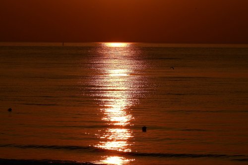 sunset  twilight  sea