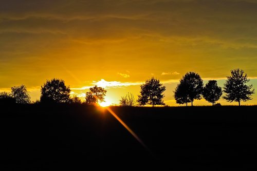 sunset  trees  landscape