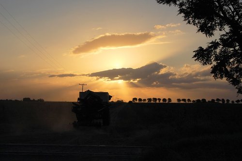 sunset  field  landscape