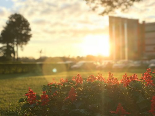 sunset  nature  landscape