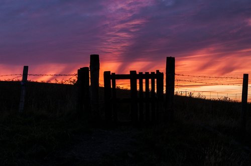 sunset  sky  silhouette