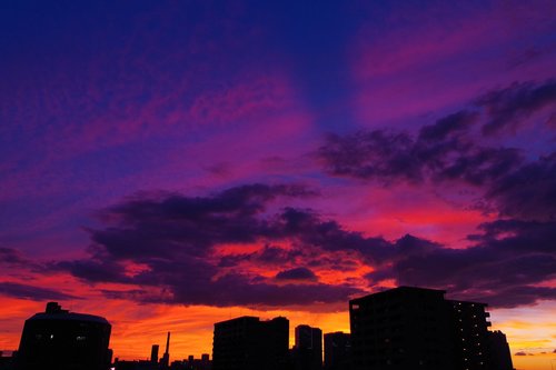 sunset  sky  purple