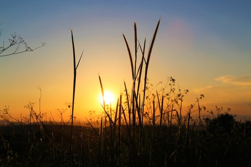 sunset  in the evening  horizon