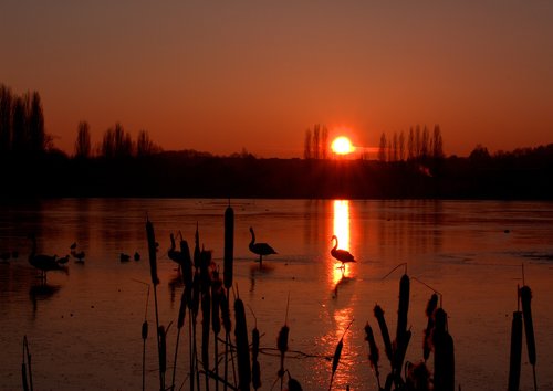 sunset  sun  landscape