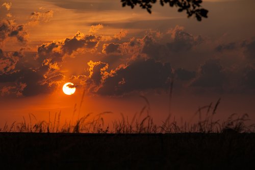 sunset  evening  sky