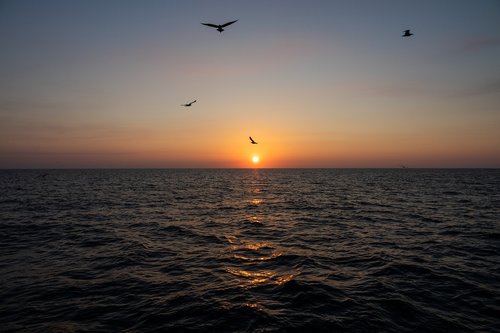 sunset  sea  water