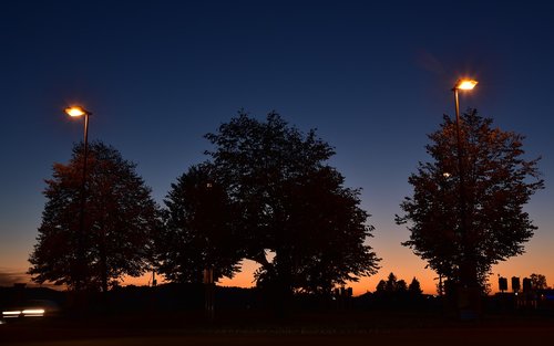 sunset  blue hour  trees
