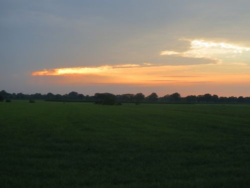 sunset pasture evening