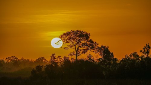 sunset  landscape  silhouette