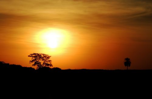 sunset against light clouds in the sun