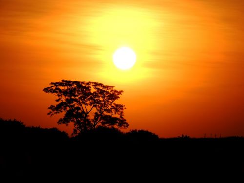 sunset against light clouds in the sun