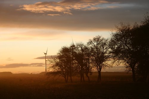 sunset  trees  windmill