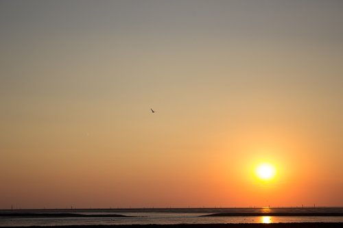 sunset  sea  wadden sea