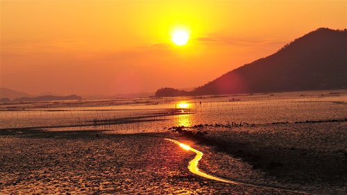 sunset  glow  suncheon bay