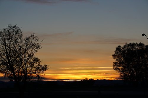sunset  silhouette  tree silhouette