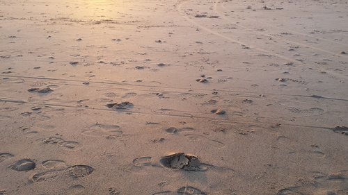 sunset  sand  footprints