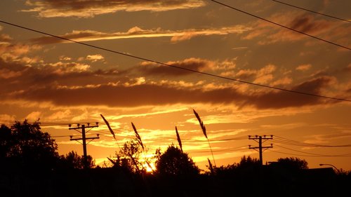 sunset  twilight  landscape