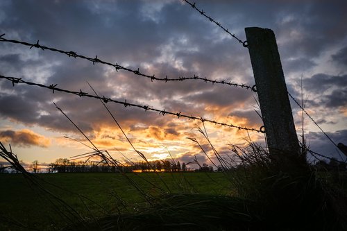 sunset  pasture  fence