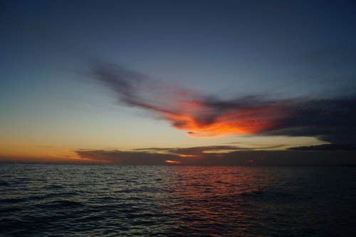 sunset  sea  ocean