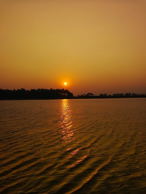 sunset  nature  silhouette