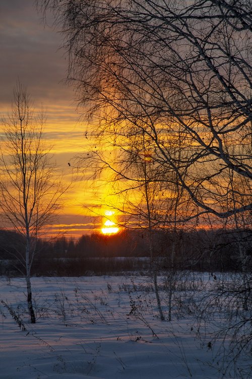 sunset  winter  sun