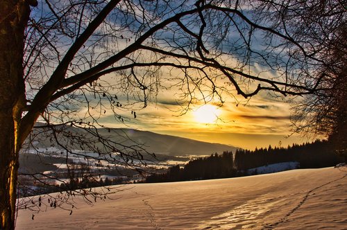 sunset  snow  forest