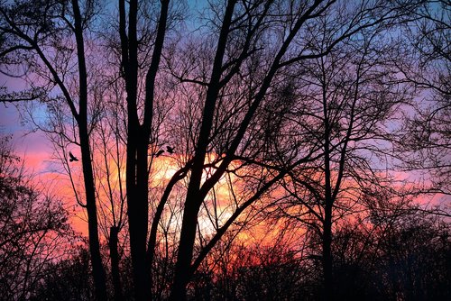 sunset  sky  clouds