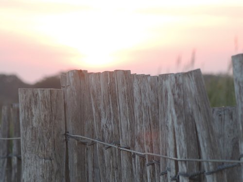 sunset  beach  dune