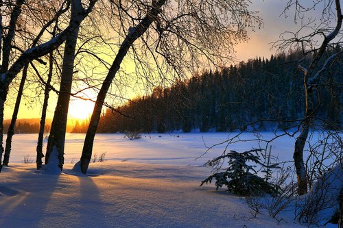 sunset  winter  nature