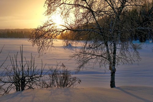 sunset  twilight  landscape