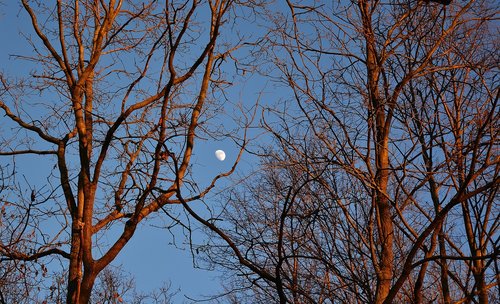 sunset  moon  mystical