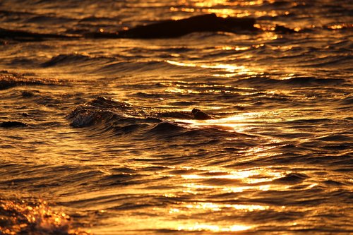 sunset  golden water  water